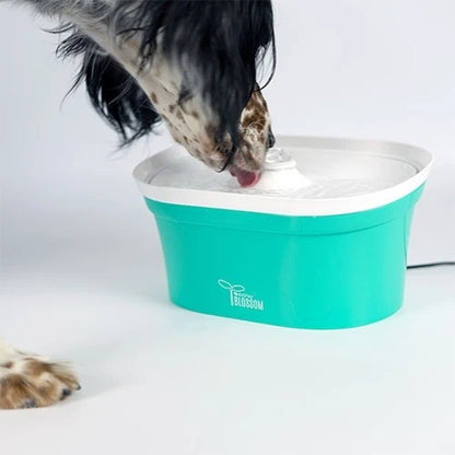 water fountain for dogs and cats