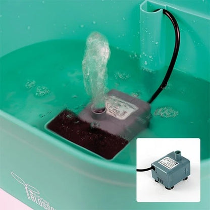 water fountain for dogs and cats